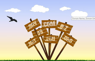 Obavezna provjera domene prije registracije